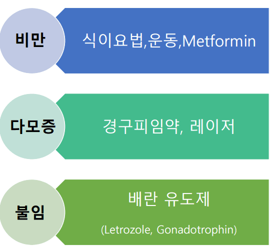 다낭성난소증후군 PCOS 치료