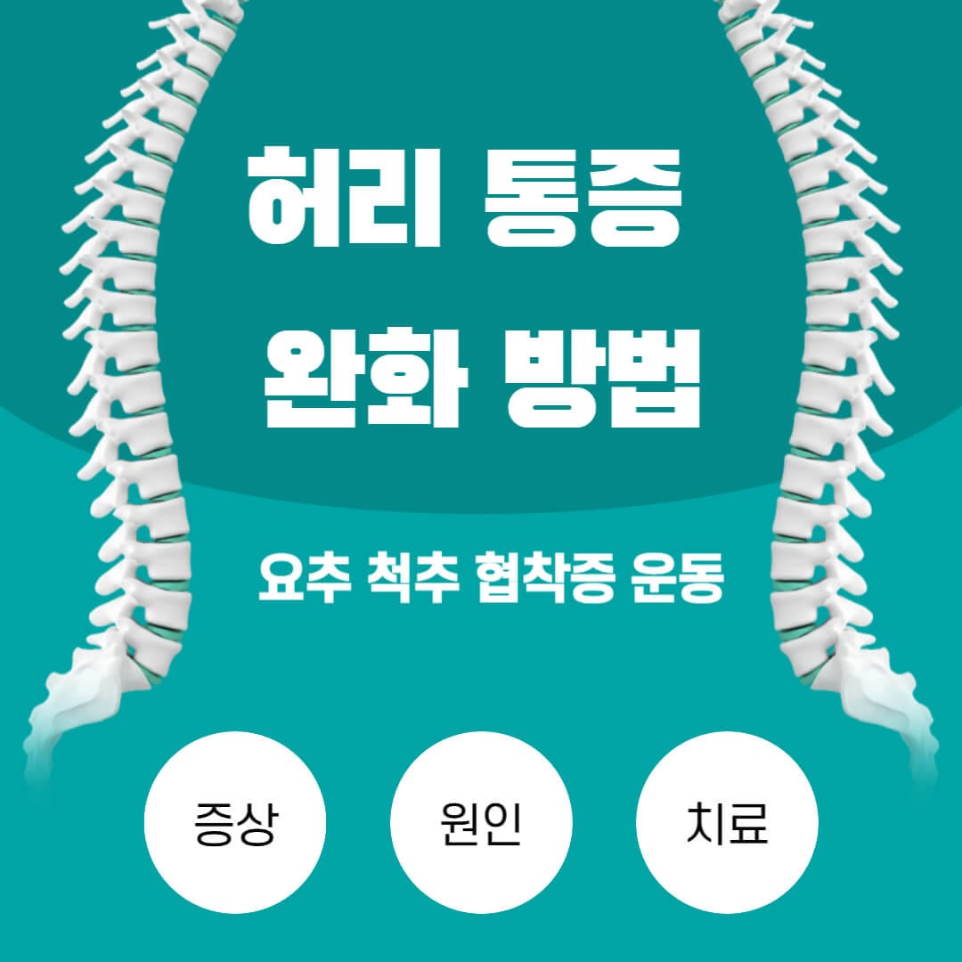 허리 통증 완화 방법 (요추 척추 협착증 운동)