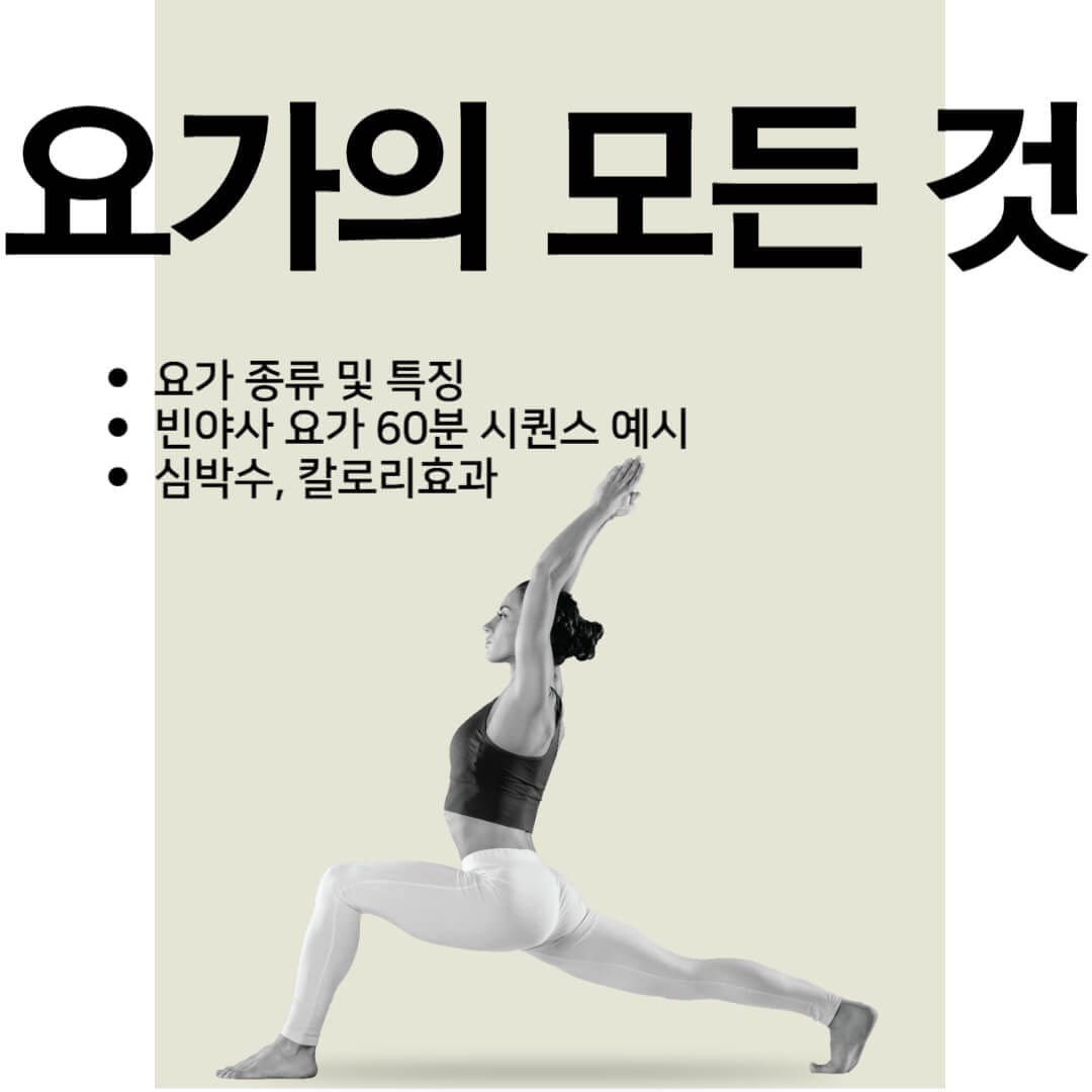 요가의 모든 것: 요가 종류 및 특징과 빈야사 요가 효과